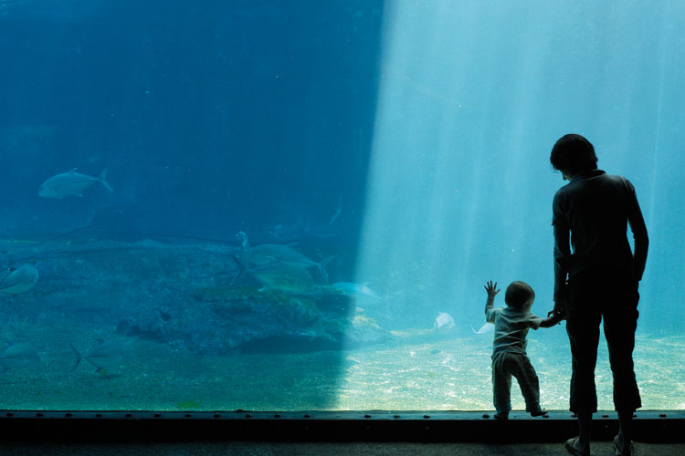 A woman and a child in an aquarium