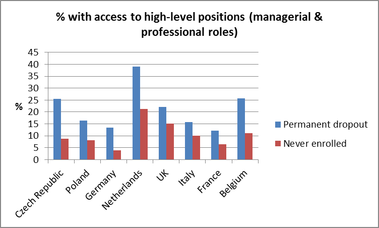 Percentage with access to high-level positions (managerial & professional roles)