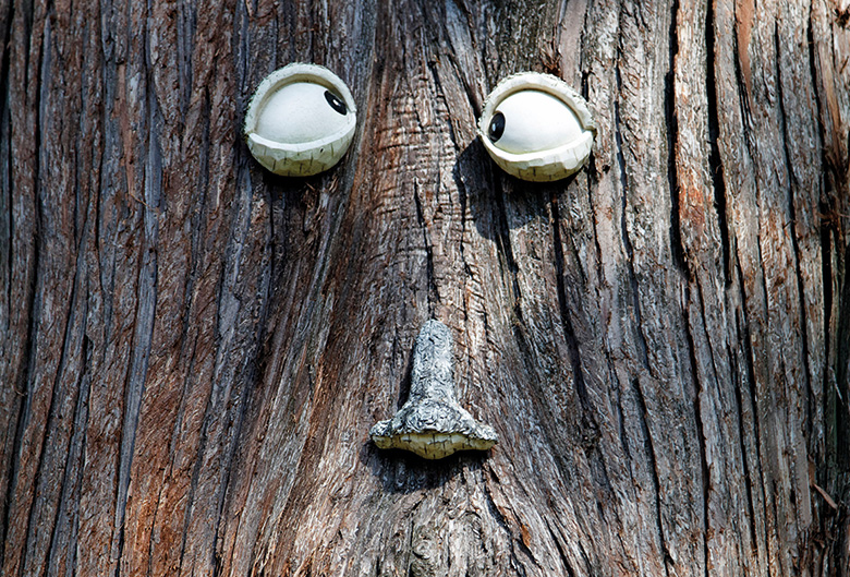 Googly eyes on a tree