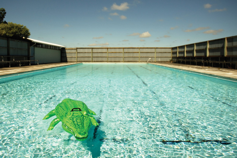 Inflatable crocodile floating in swimming pool