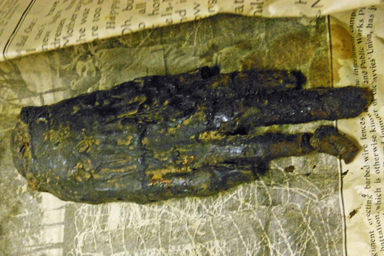 Mummified hand with broken finger