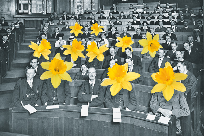 Old academics with daffodils for heads