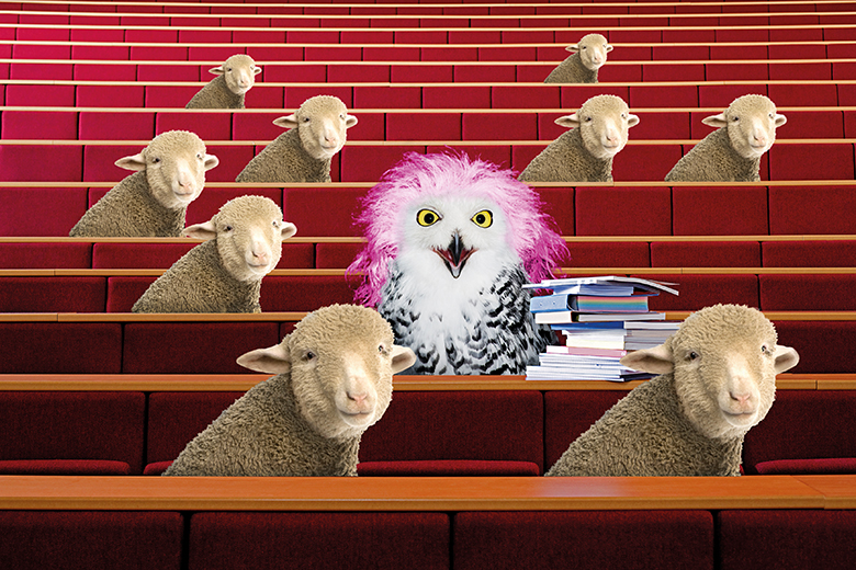 Owl and sheep in lecture theatre