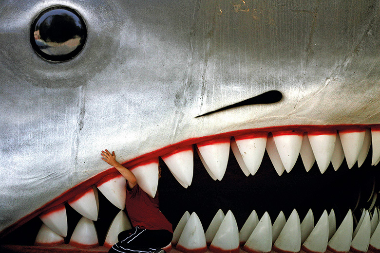 Person in between sharks teeth