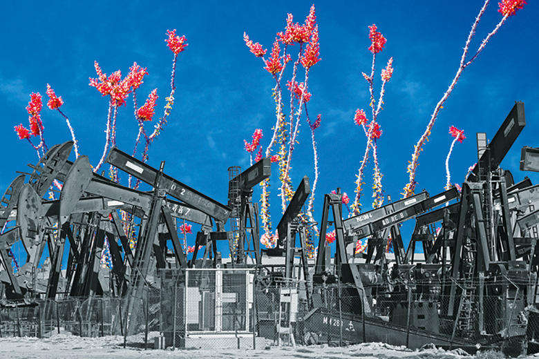 Plants growing out of oil refinery