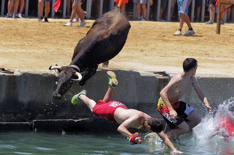 Bull chases men into water