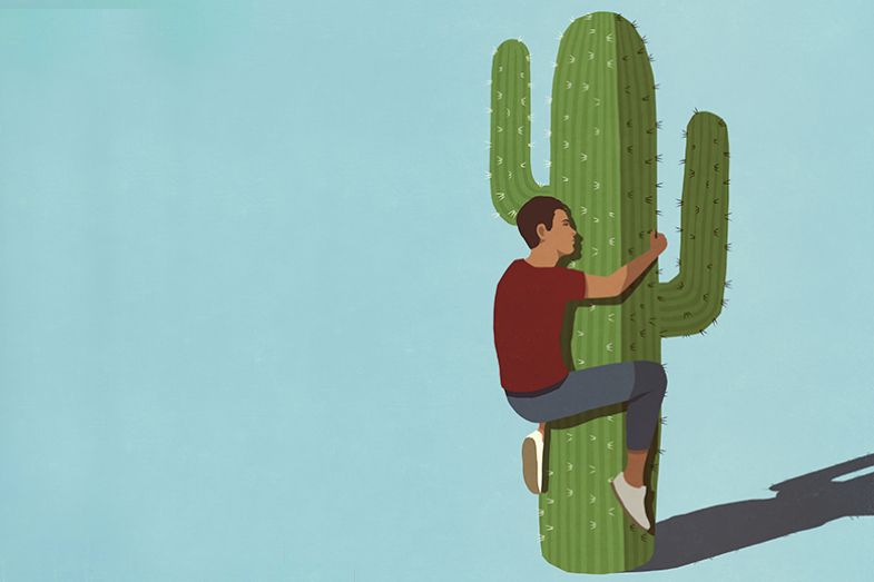 Work-Life Balance Survey 2022. Hugging a cactus - to suggest job security.