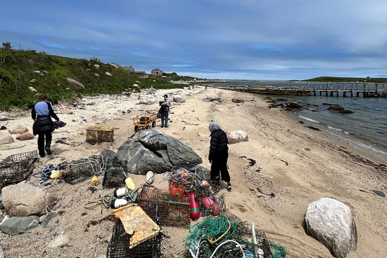 Students cleaning a beach on Gull Island off the Massachusetts coast