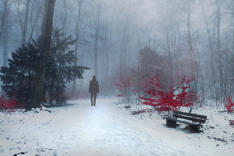Person walking through wintry forest
