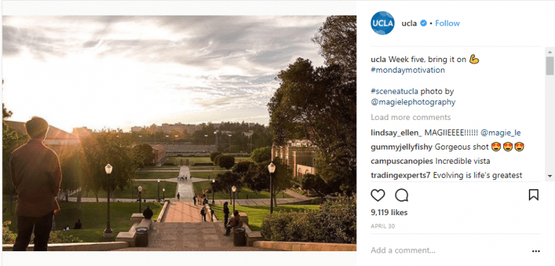 UCLA - summery university