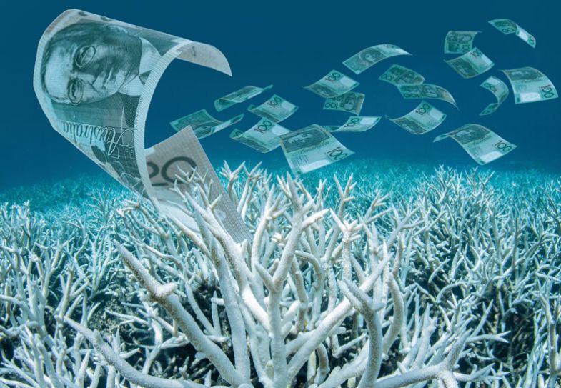 Bank notes floating in the sea over the coral 
