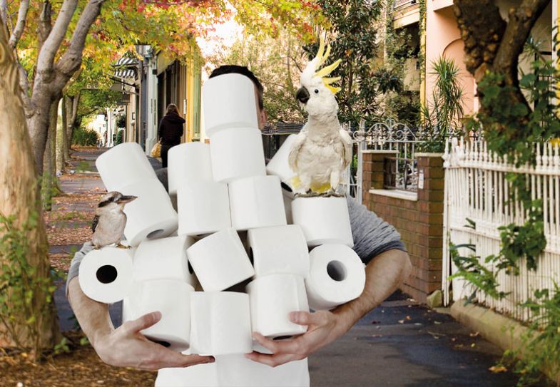 Person holding multiple rolls of  toilet rolls with a parrot and a bird on them
