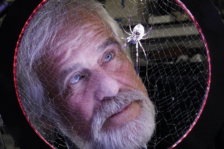 Man looking at spider web