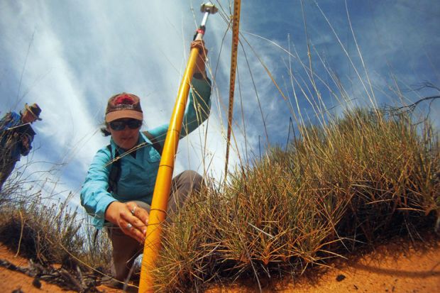 A female ecologist taking measurements in the Outback