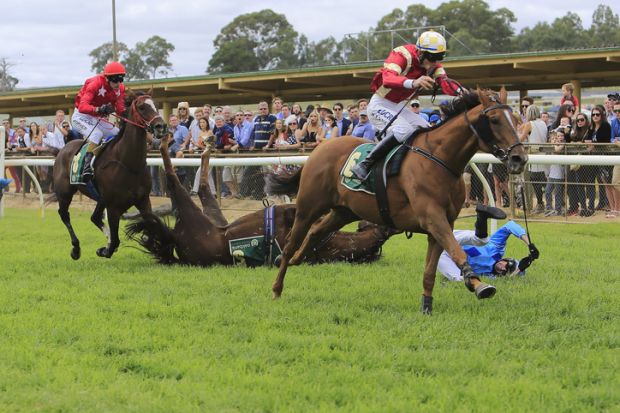 Adelaide, Australia - March, 26, 2016 Baklava Boy (NZ) with Richard Cully, takes a tumble during the Neutrog Young Members Benchamark 120 Hurdle- 1500 m, at the Oakbank Racing Carnival Club Easter Carnival near Adelaide South Australia. The event runs ann