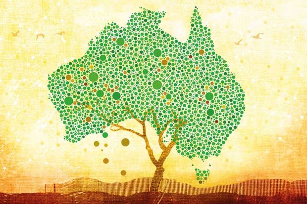 australia-tree