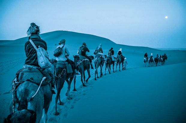 camel train in desert