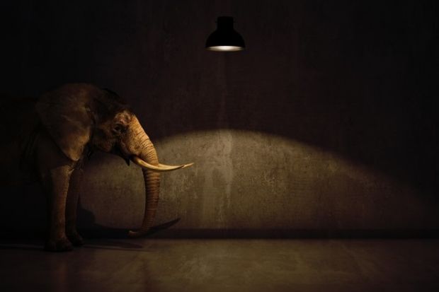 An elephant in a room, symbolising university funding