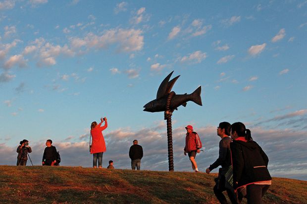 Flying Fish by Gillie and Marc Schattner is displayed at Bondi  in Sydney, Australia to illustrate Without expensive reforms to steward, what will Atec do?