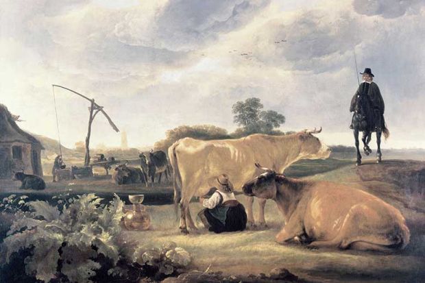 historic-cows