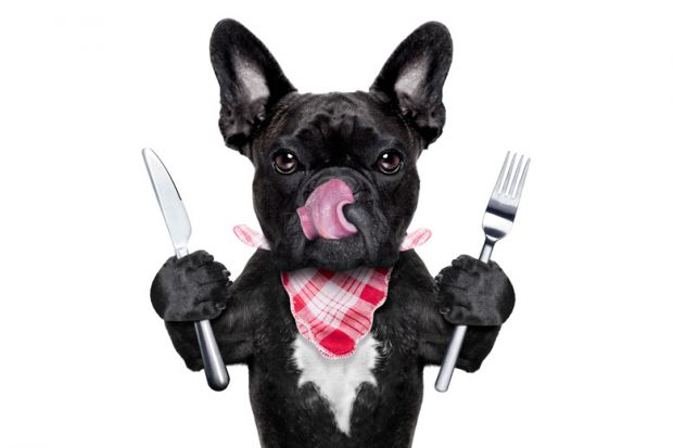Hungry dog holding knife and fork