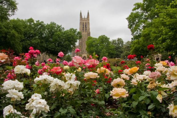 Duke University