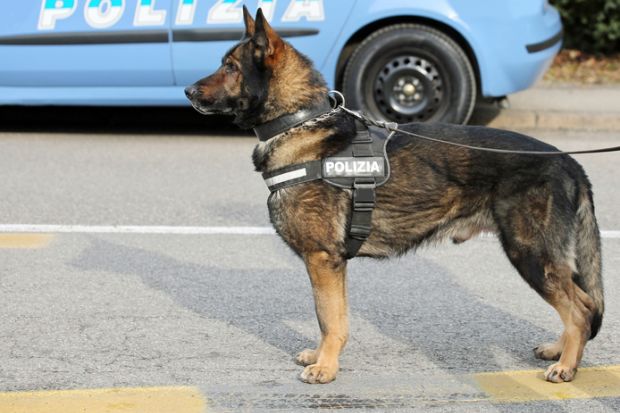 police dog watchdog polizia