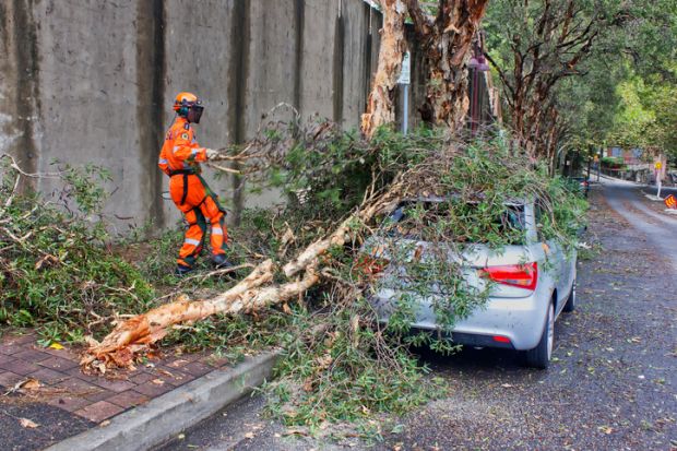 Kirribilli, Australia - February 24, 2013 an SES volunteer clears fallen branches from a car in Kirribilli, Australia on February 24, 2013. A mini-tornado swept through during the previous night, uprooting trees and ripping off roofs.