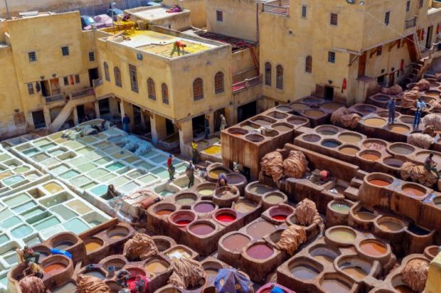leather tanneries morocco