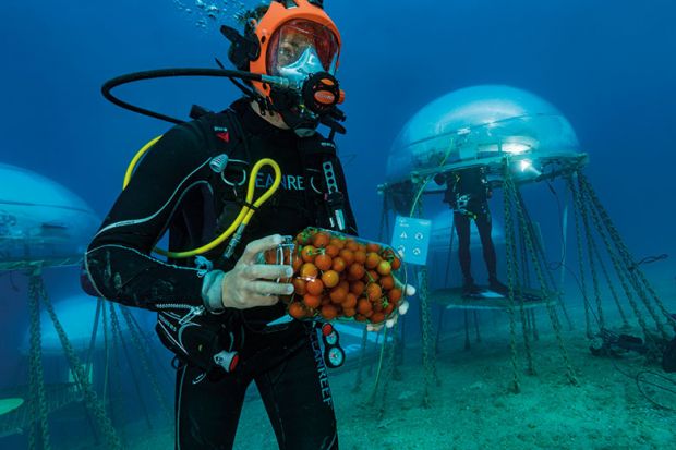Underwater food production