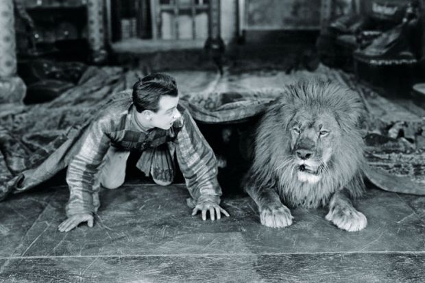 Man and lion lying beneath rug