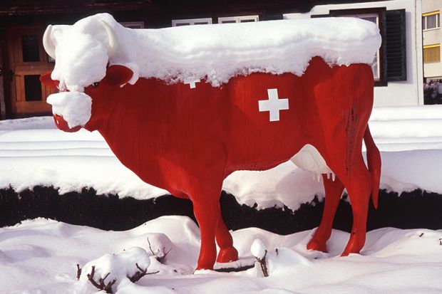 Model of a Swiss cow