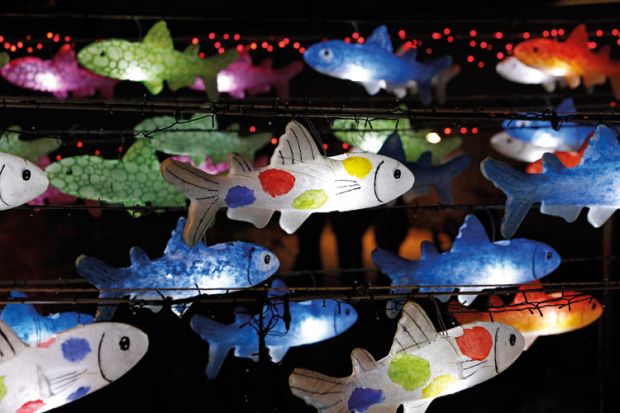 Multi-coloured fish lanterns hanging on wire