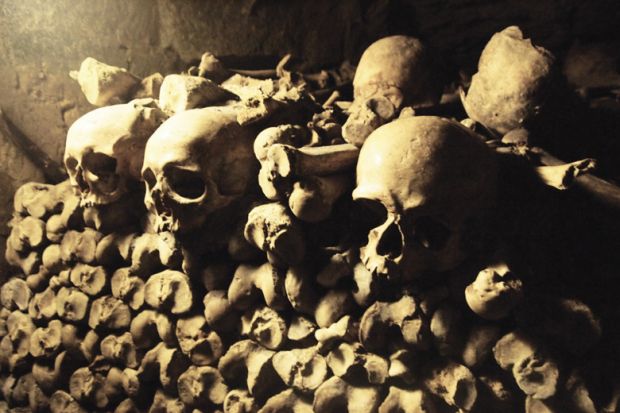 Pile of skulls and bones in French catacombs
