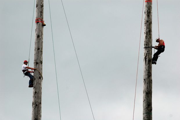 Pole climbing competition, Royal Welsh Show