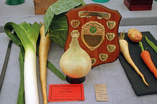Prize vegetables