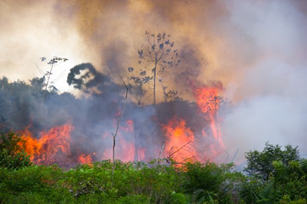 The Brazilian rainforest being burned 