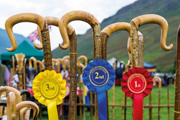 Row of prize-winning shepherds crooks and rosettes