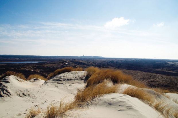 Sand dunes, Terschelling, Friesland, Netherlands