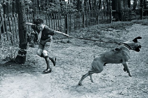 Boy scout grips a tree while being pulled by dog