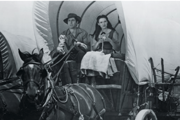 Couple in horse-drawn wagon crop