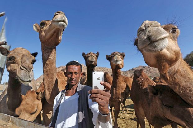 Selfie with camels