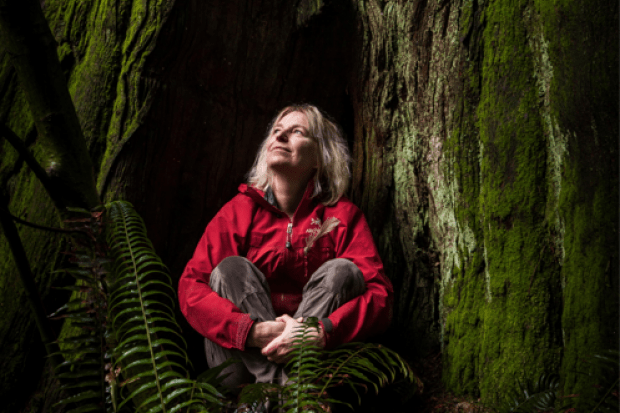 Ecologist Suzanne Simard in Stanley Park in Vancouver, British Columbia