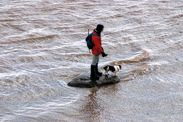 man and dog stranded on a rock in a river