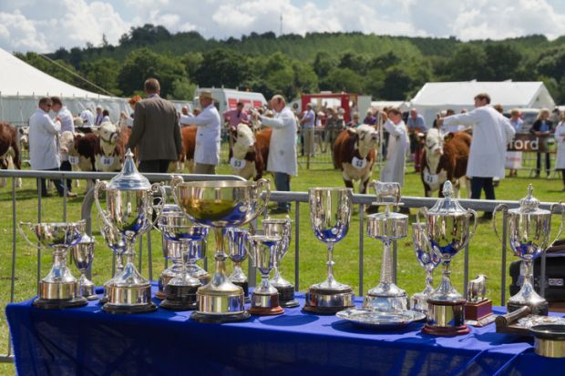 Tenbury Show, Tenbury Wells, Worcestershire, UK - 3rd August 2013 Silver trophies ready to be given to the cattle being judged in the ring at the annual Tenbury agricultural show.