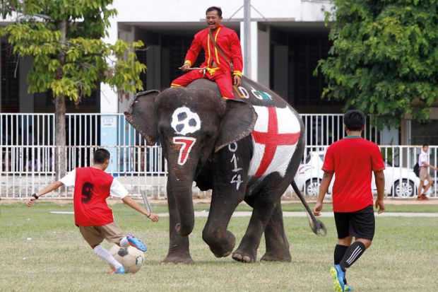 Thai students play soccer with elephants, 2014