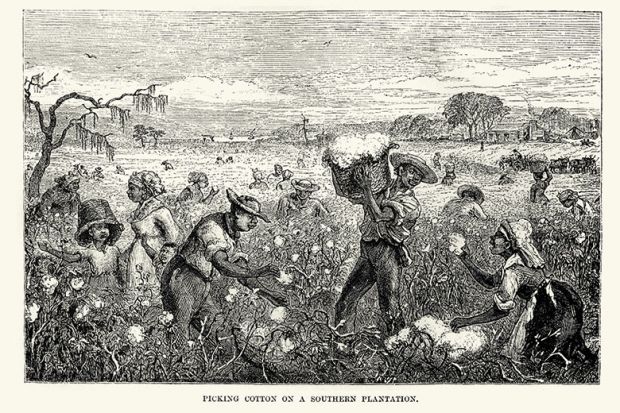 Drawing of cotton pickers on a plantation