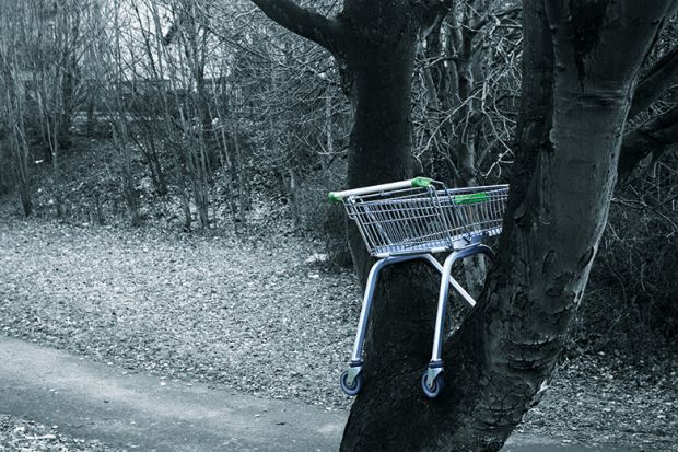 An abandoned supermarket trolley stuck in a tree