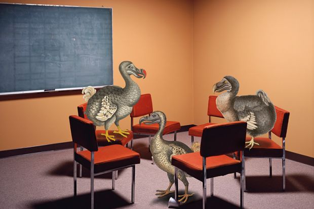 An illustration of three dodos in a classroom