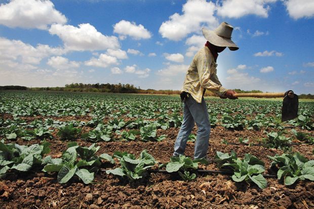 Migrant farm workers in Israel
